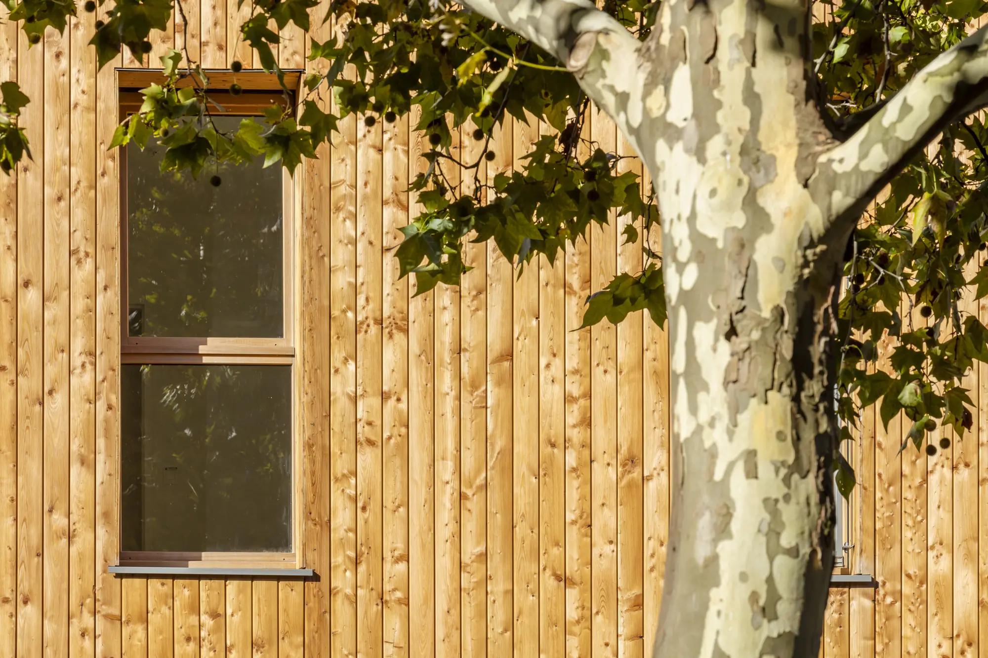 Montreuil, ville de naissance de REI Habitat