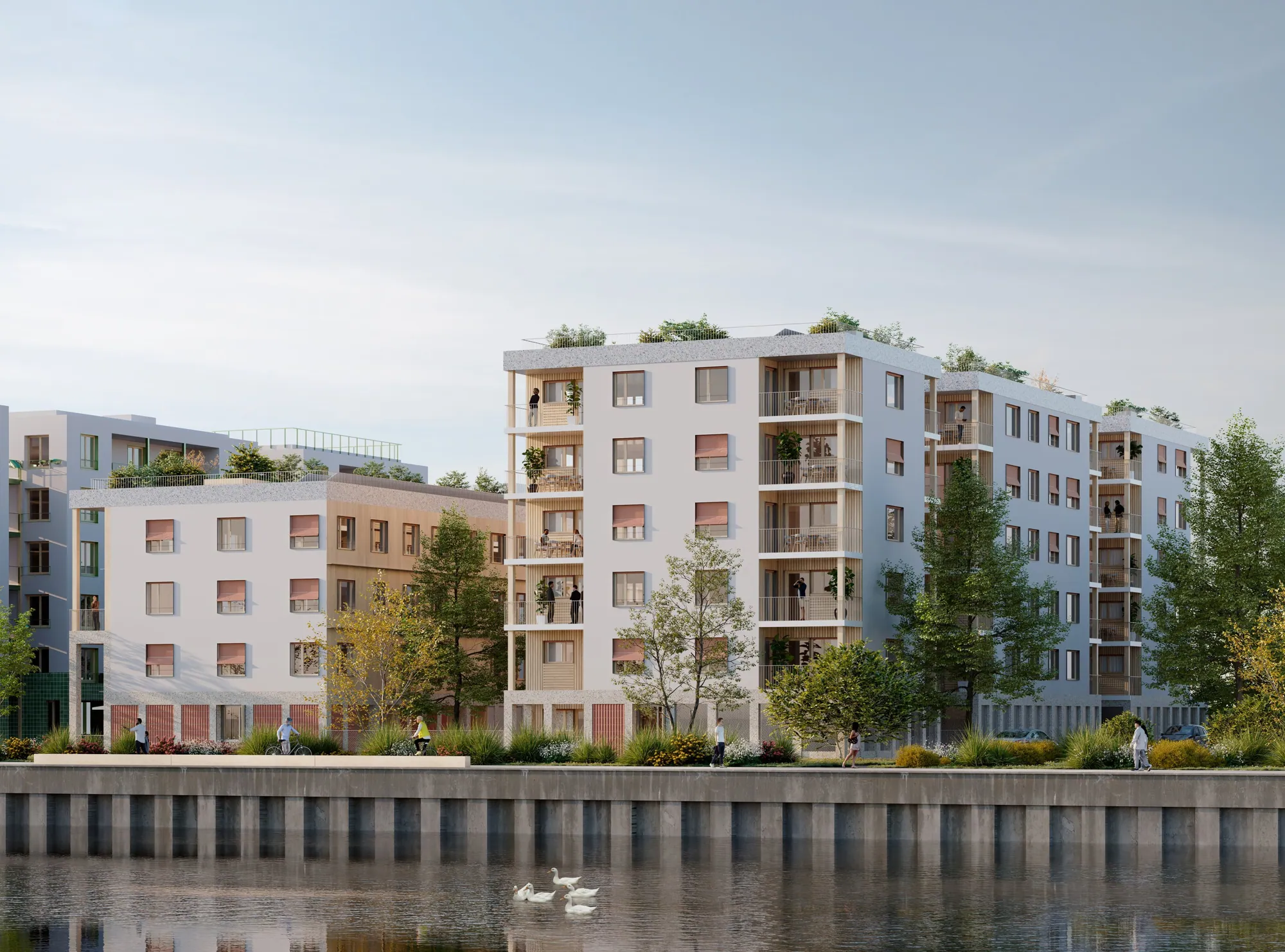 Perspective : les immeubles au bord du bassin