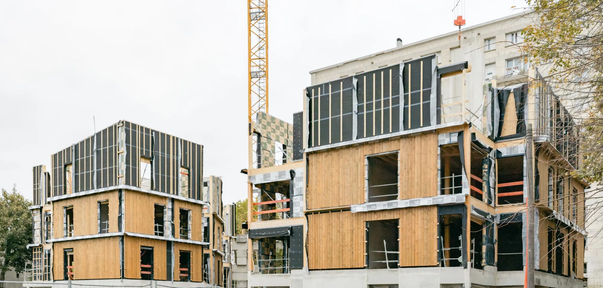 Le chantier bois de Haïku