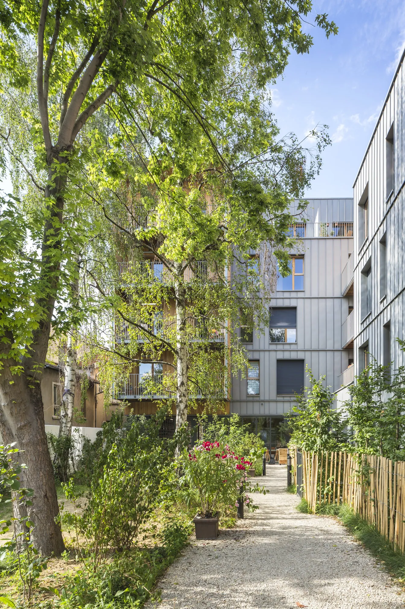 Allée plantée entre les bâtiments