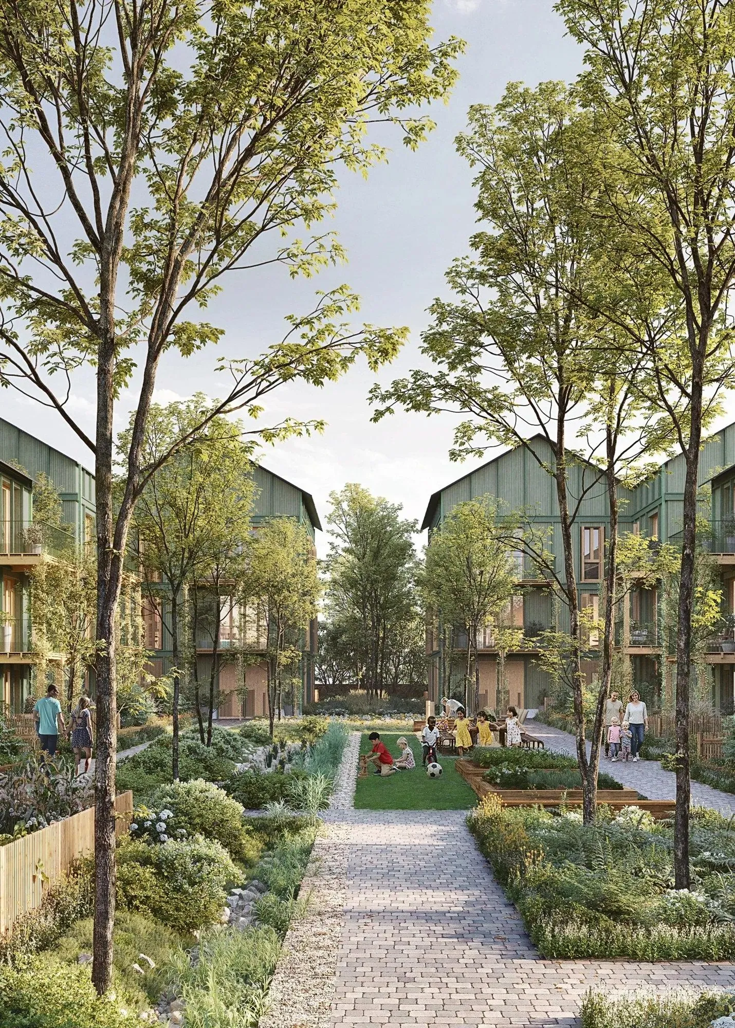 Perspective : allée plantée entre les maisons en bois