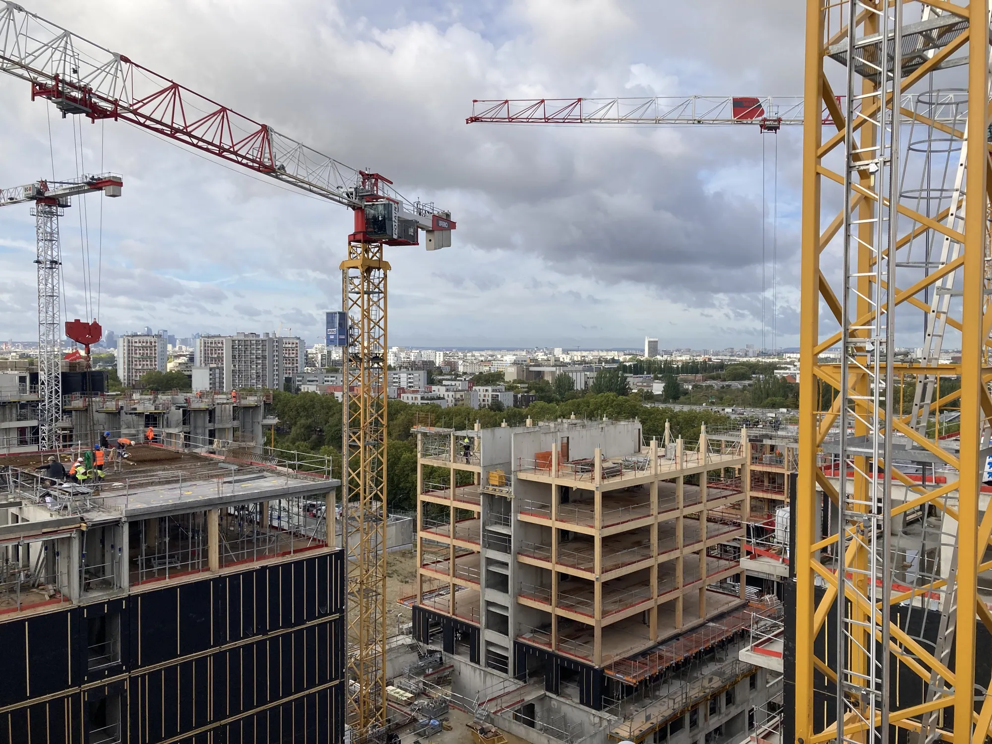 Les grues au-dessus du chantier en bois