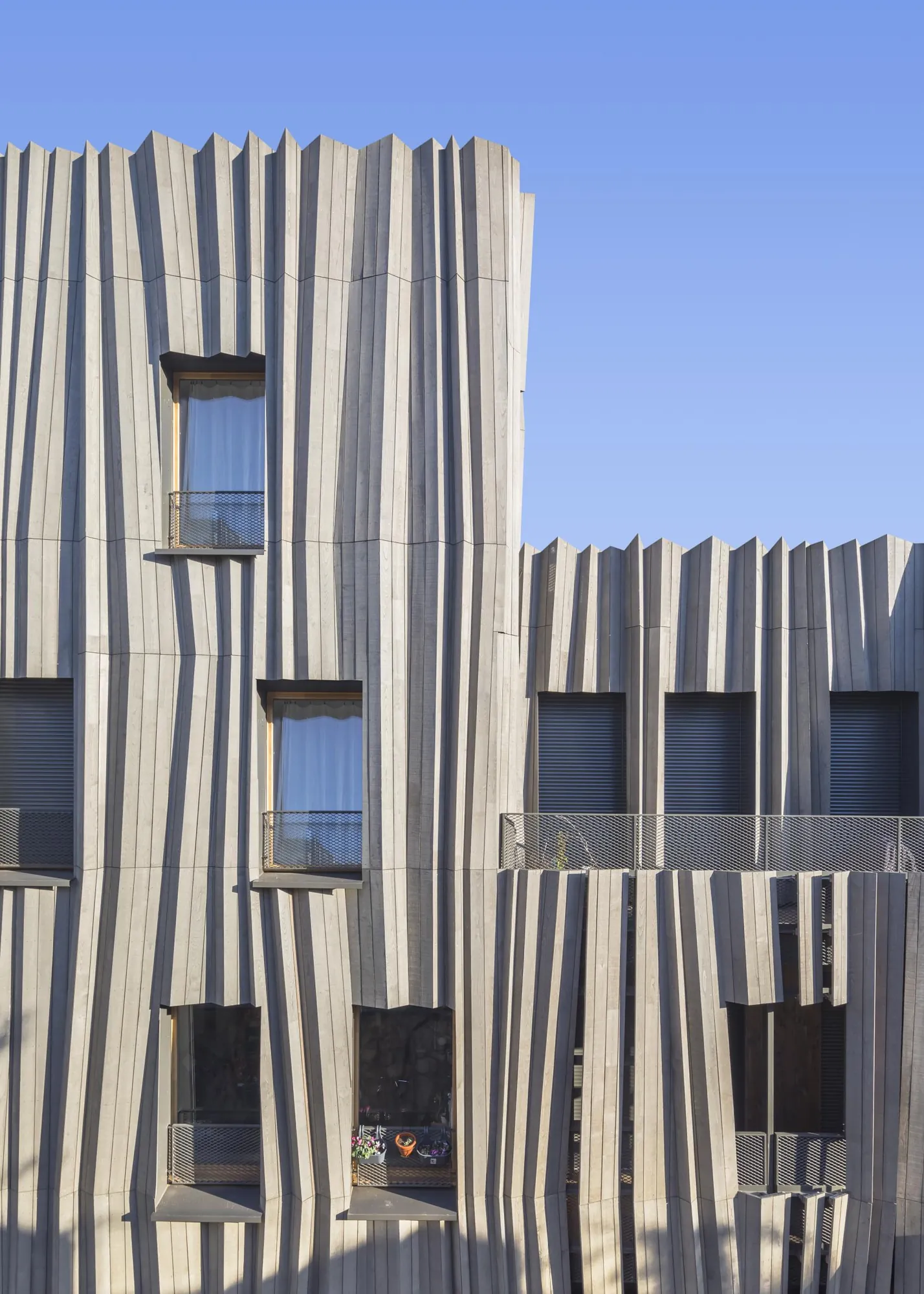Yama Tani, Paris